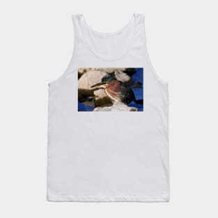 Green heron Tank Top